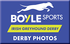Image shows a blue button with BOYLE Sports Irish Greyhound Derby logo and the words Derby Photos