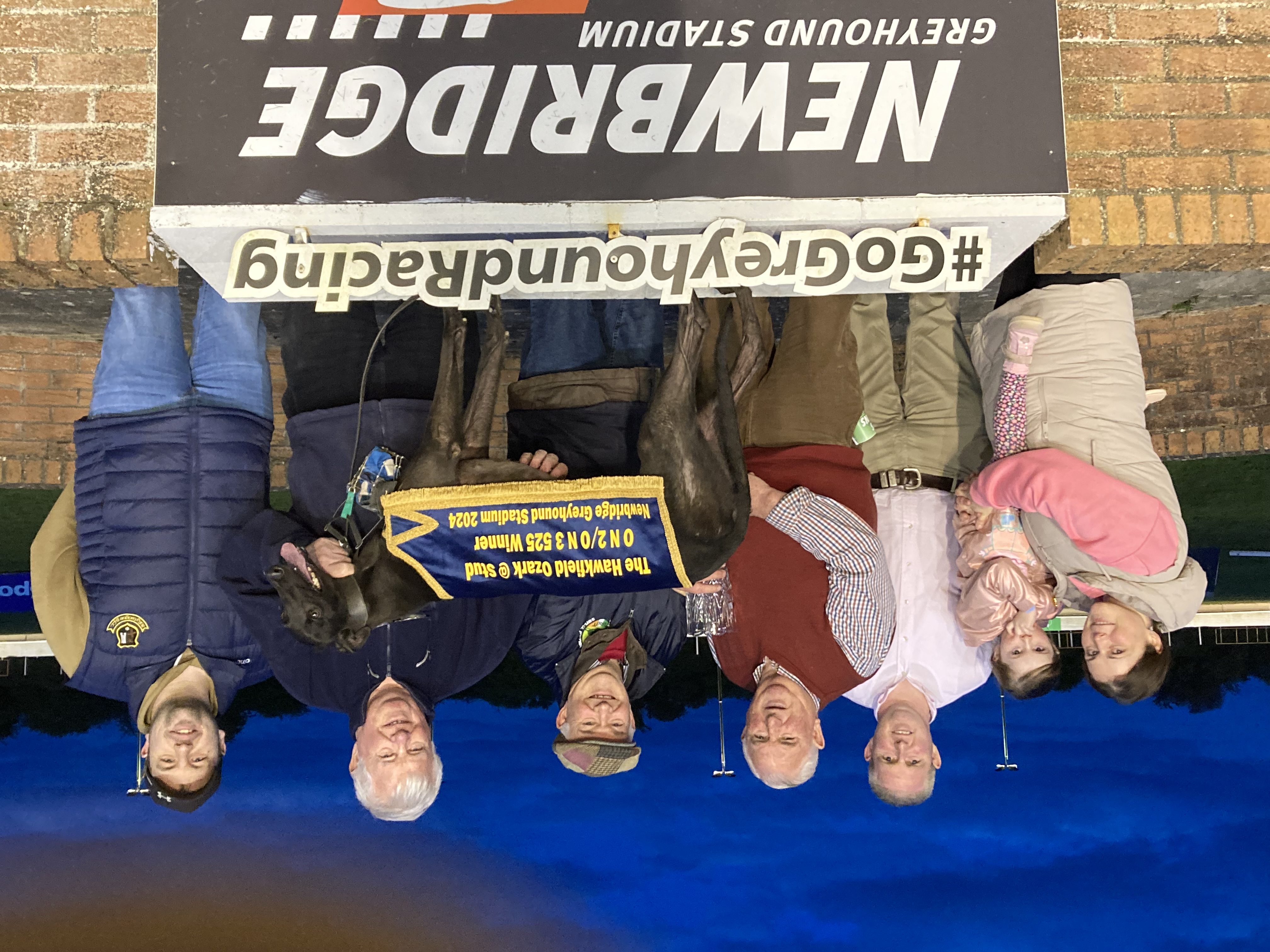 Doonanes Franco winner of the Hawkfield Ozark at Stud Final in Newbridge Doonanes Franco winner of the Hawkfield Ozark at Stud Final in Newbridge