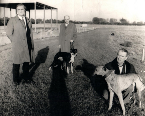 Laying the track in Cornelscourt Laying the track in Cornelscourt