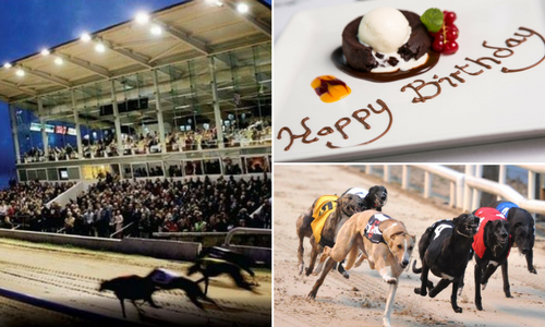 Celebrate Newbridge Greyhound Stadium's 70th birthday on Friday 4th May with a fun-filled night for all the family Celebrate Newbridge Greyhound Stadium's 70th birthday on Friday 4th May with a fun-filled night for all the family